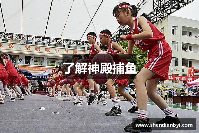了解神殿捕鱼